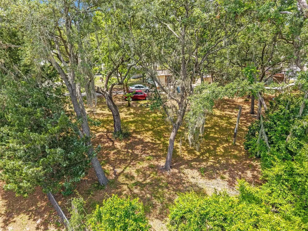 11211 NW 113th Place Chiefland FL 32626
