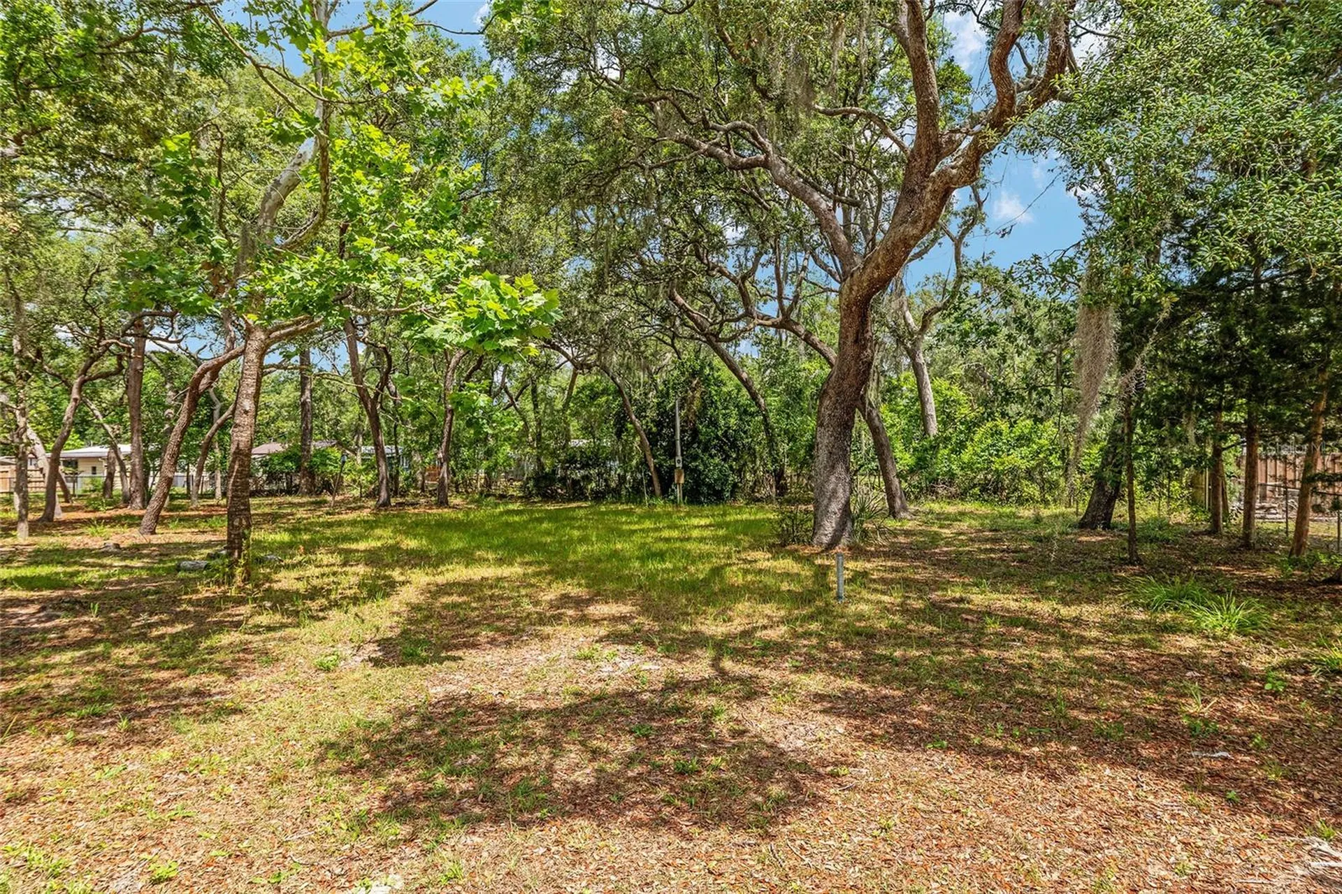 11211 NW 113th Place Chiefland FL 32626