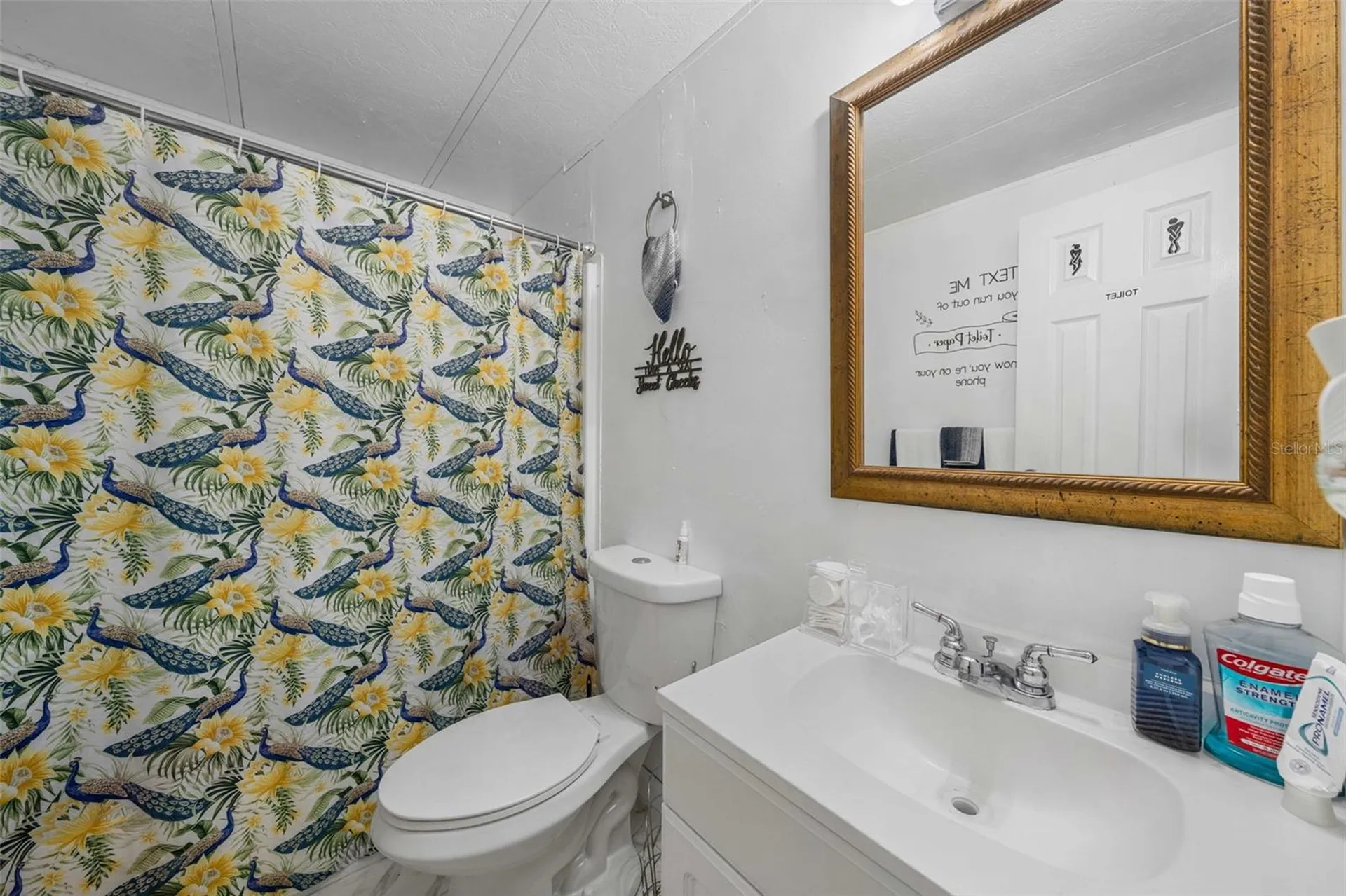 3442 Dew Berry Avenue Apopka FL 32712