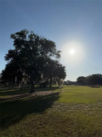 40143 Babb Road Umatilla FL 32784