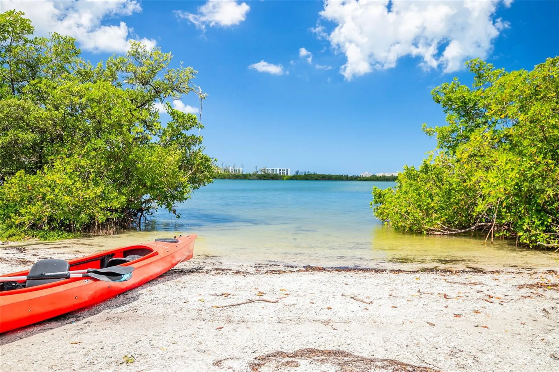 8824 Phyliss Avenue Sarasota FL 34231