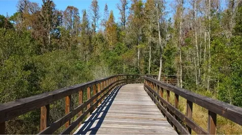 9471 Runaway Breeze Drive Land O Lakes FL 34637