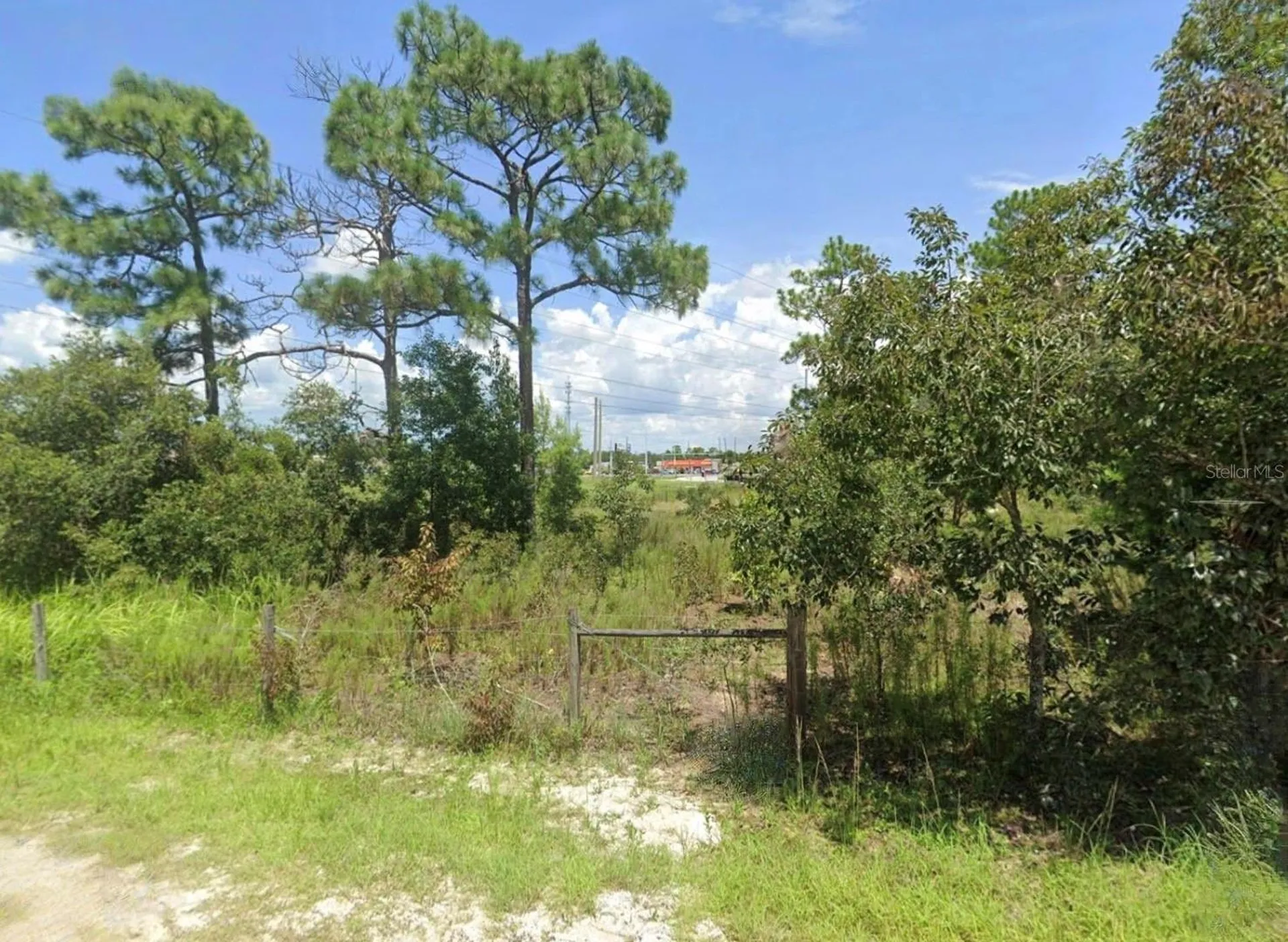 Neville Drive Spring Hill FL 34609