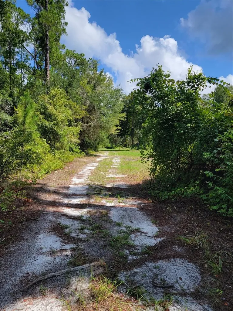 0 SE 464c Highway Ocklawaha FL 32179