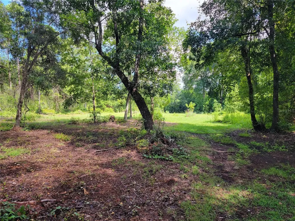 0 SE 464c Highway Ocklawaha FL 32179
