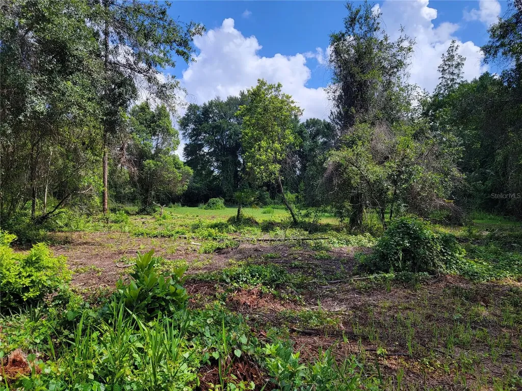 0 SE 464c Highway Ocklawaha FL 32179