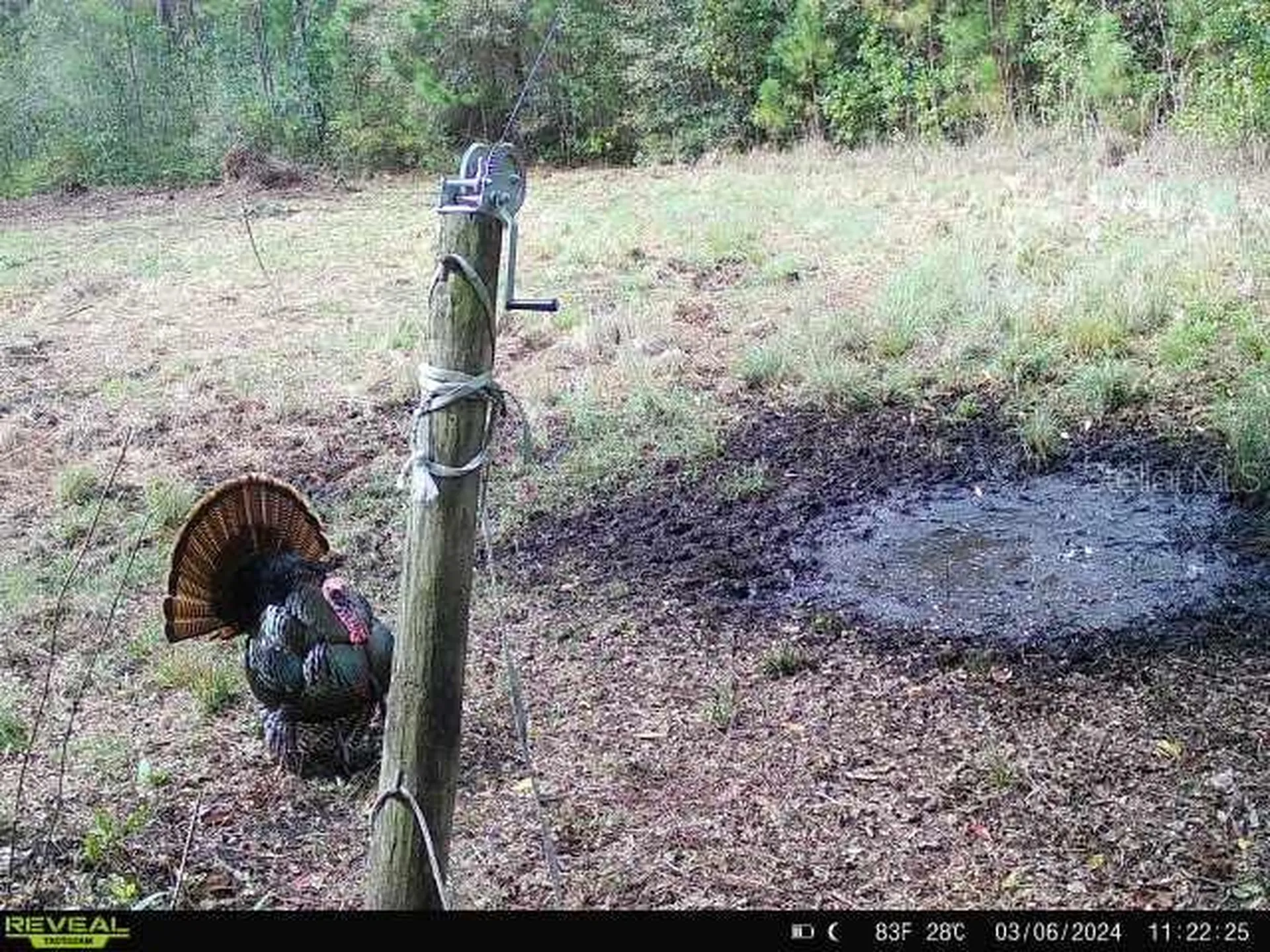 0 SE 464c Highway Ocklawaha FL 32179