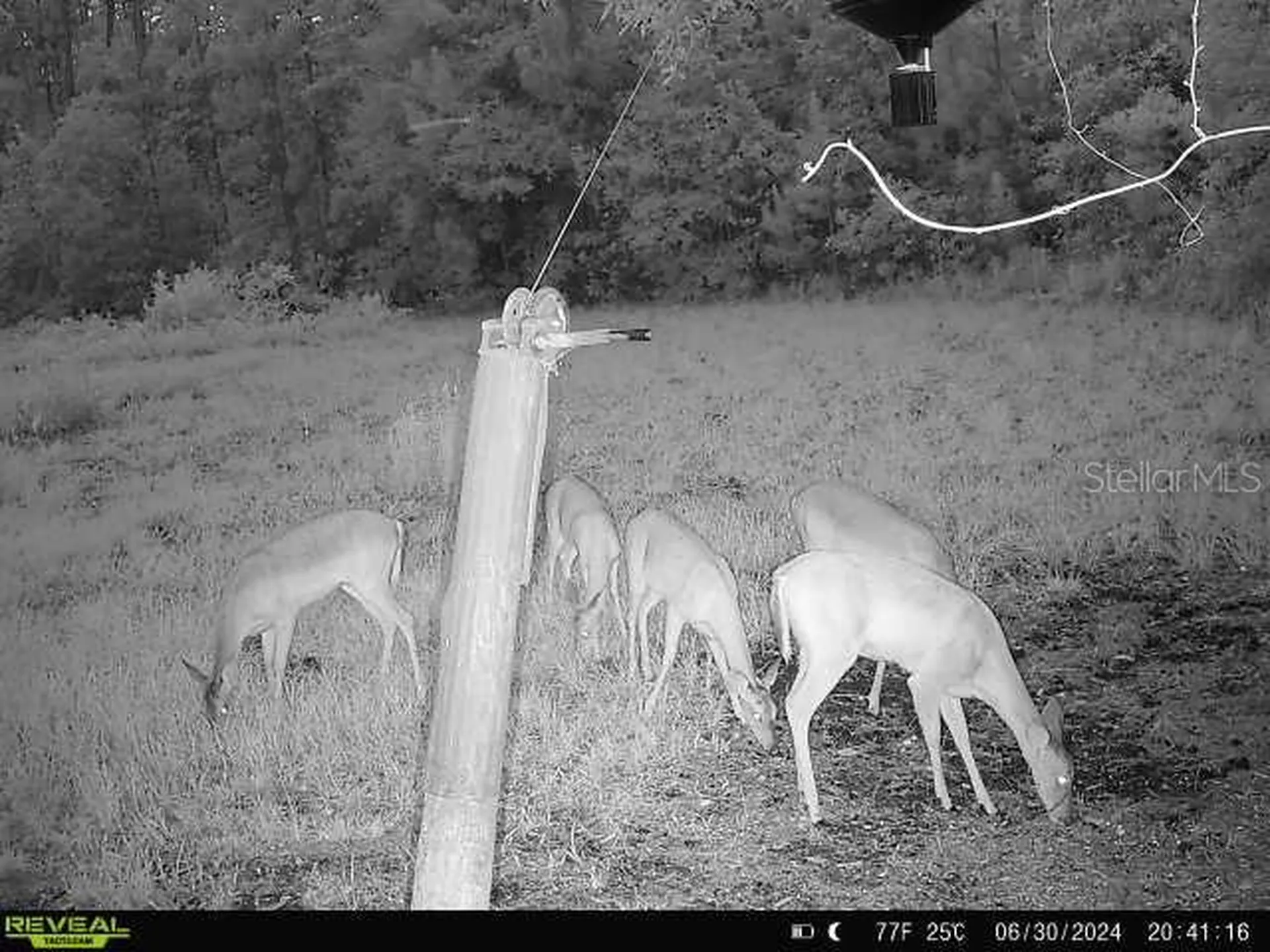 0 SE 464c Highway Ocklawaha FL 32179