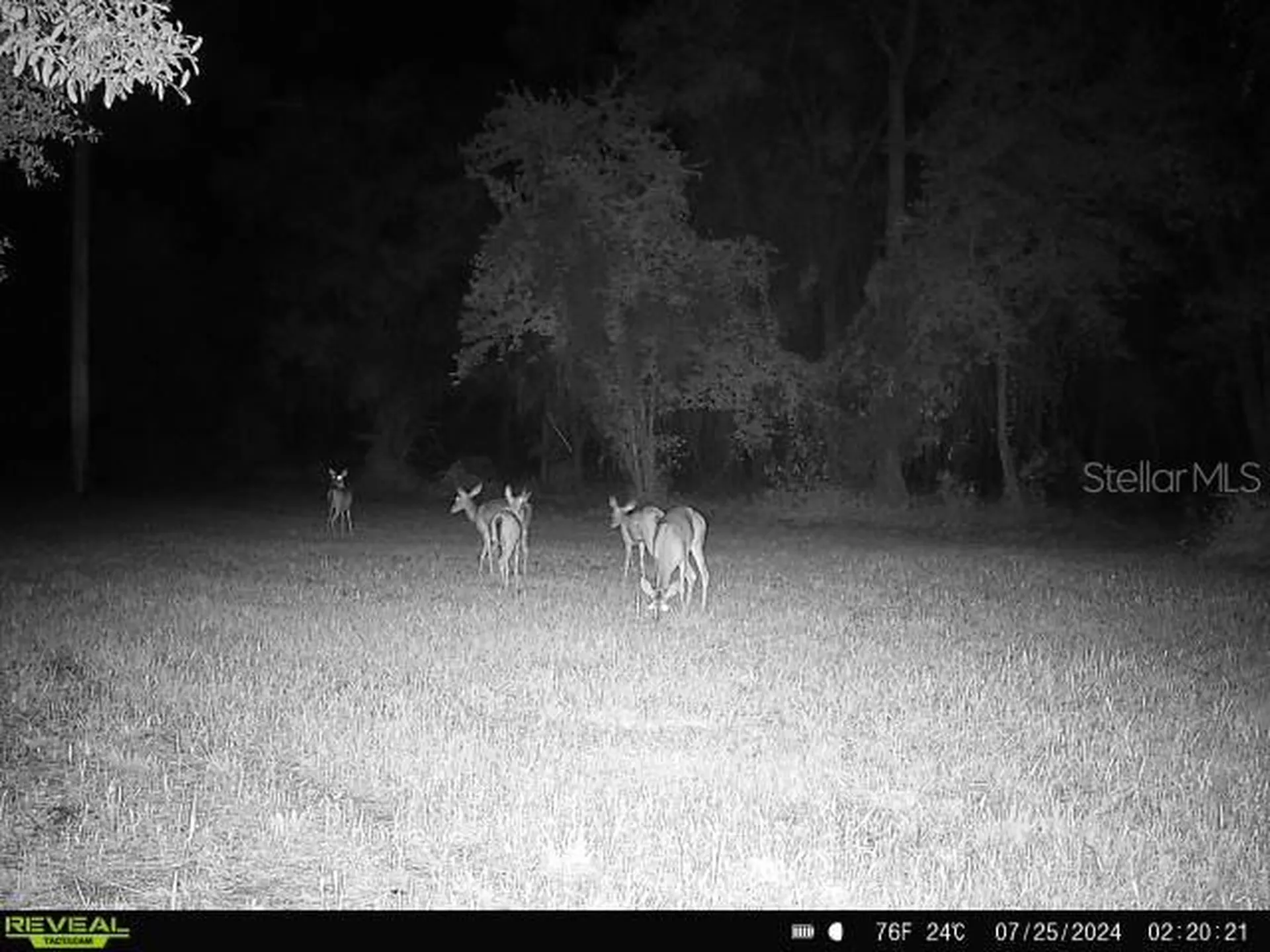 0 SE 464c Highway Ocklawaha FL 32179