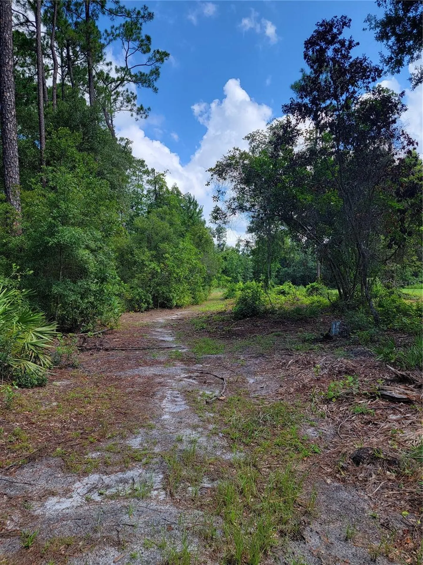 0 SE 464c Highway Ocklawaha FL 32179