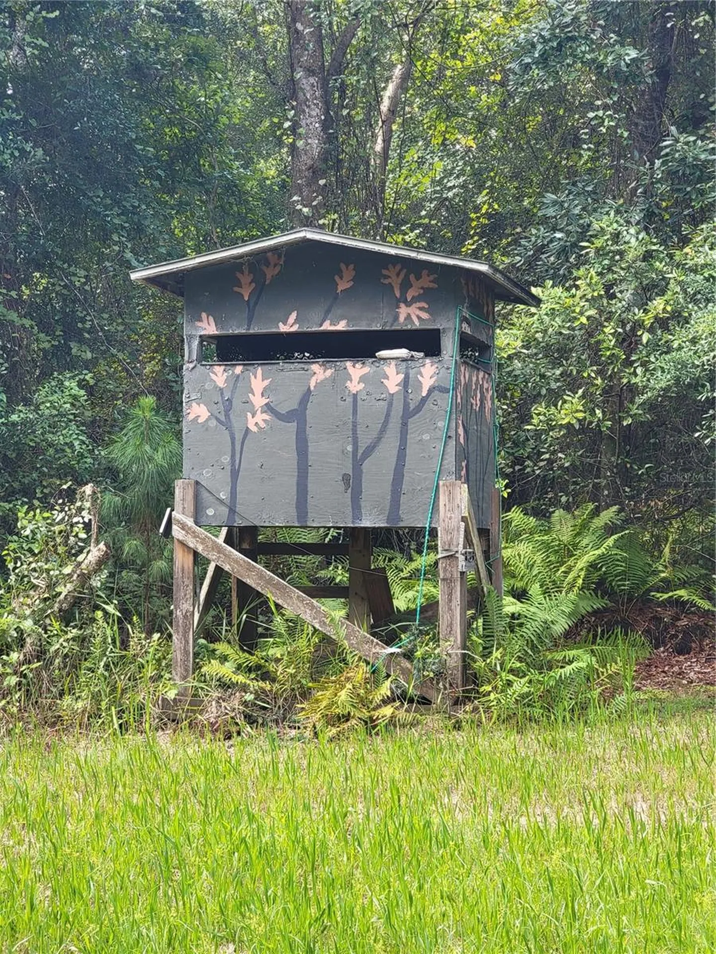 0 SE 464c Highway Ocklawaha FL 32179