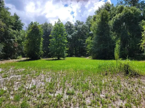 0 SE 464c Highway Ocklawaha FL 32179