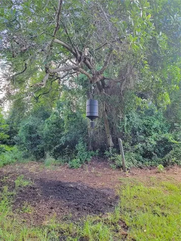 0 SE 464c Highway Ocklawaha FL 32179