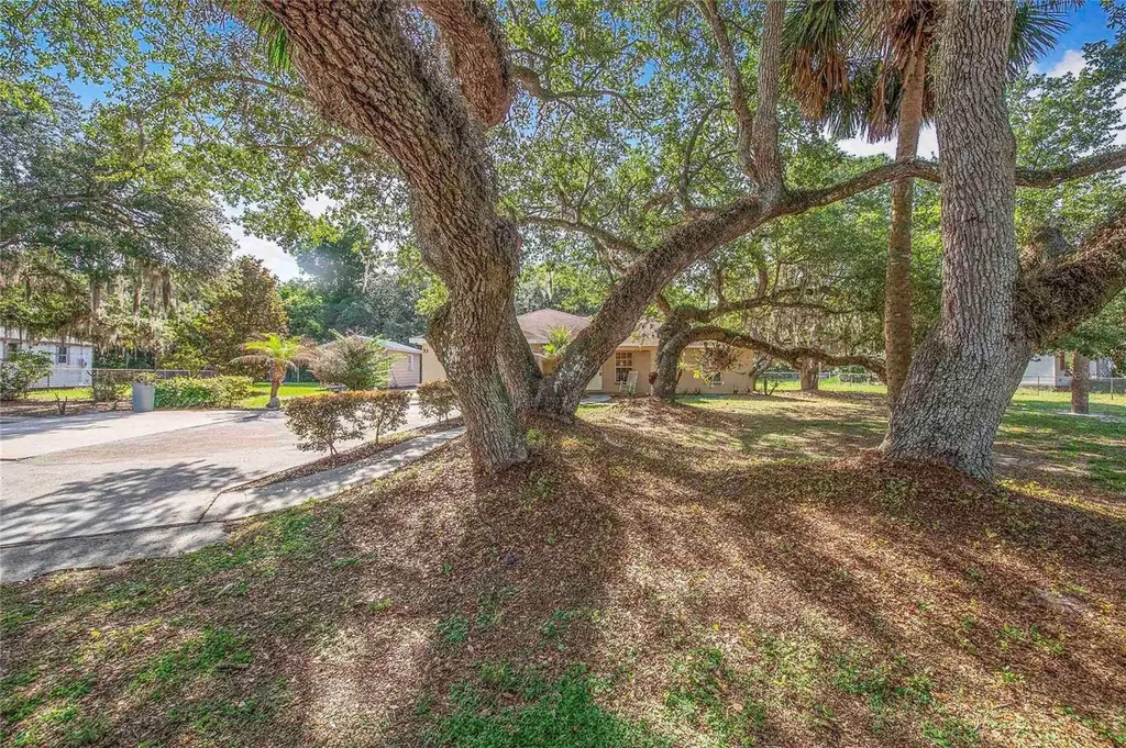 33 Pinewood Drive Haines City FL 33844