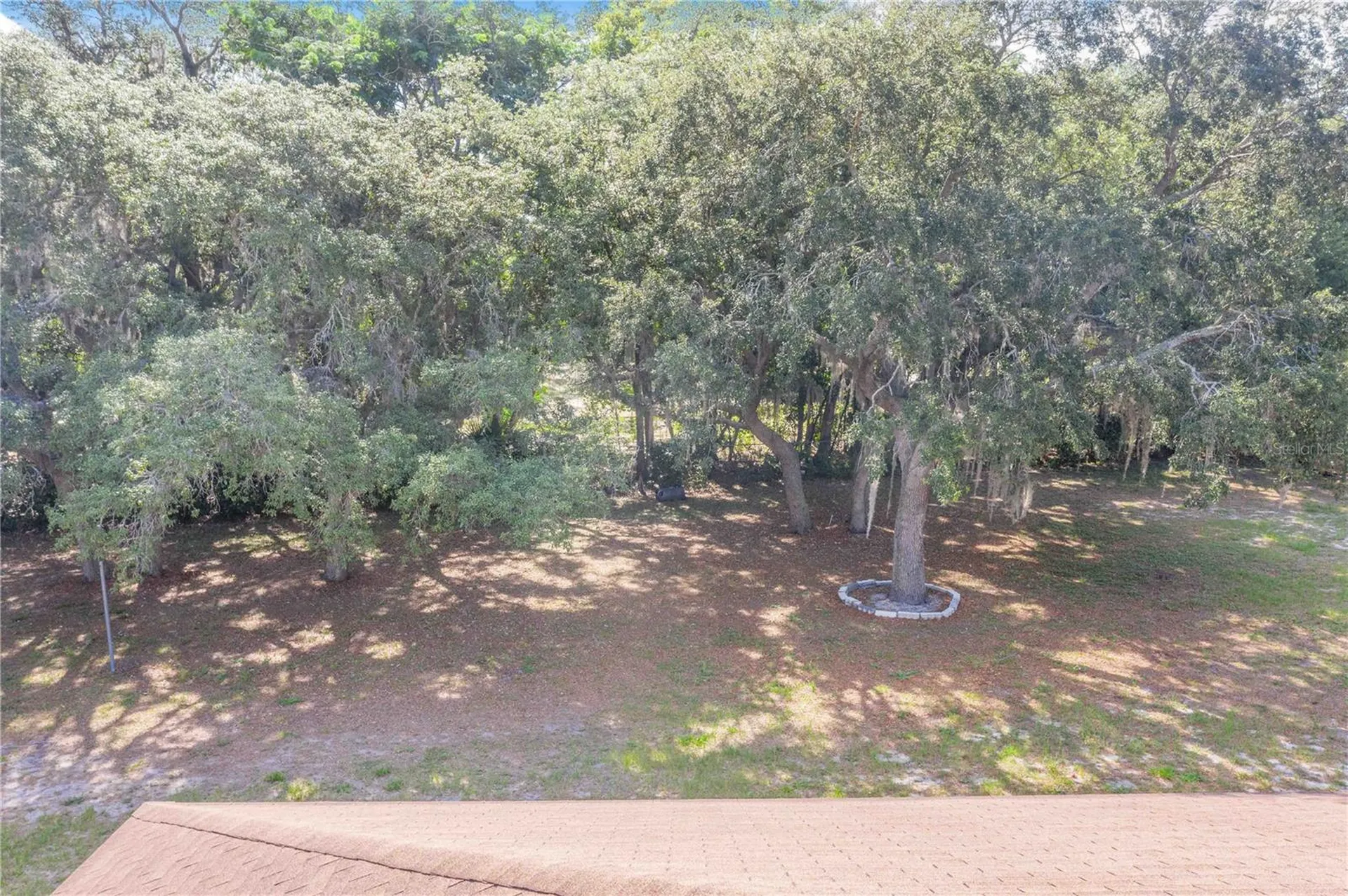 33 Pinewood Drive Haines City FL 33844