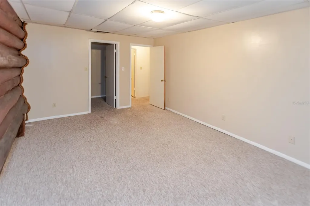 13203 Blissfield Odessa FL 33556