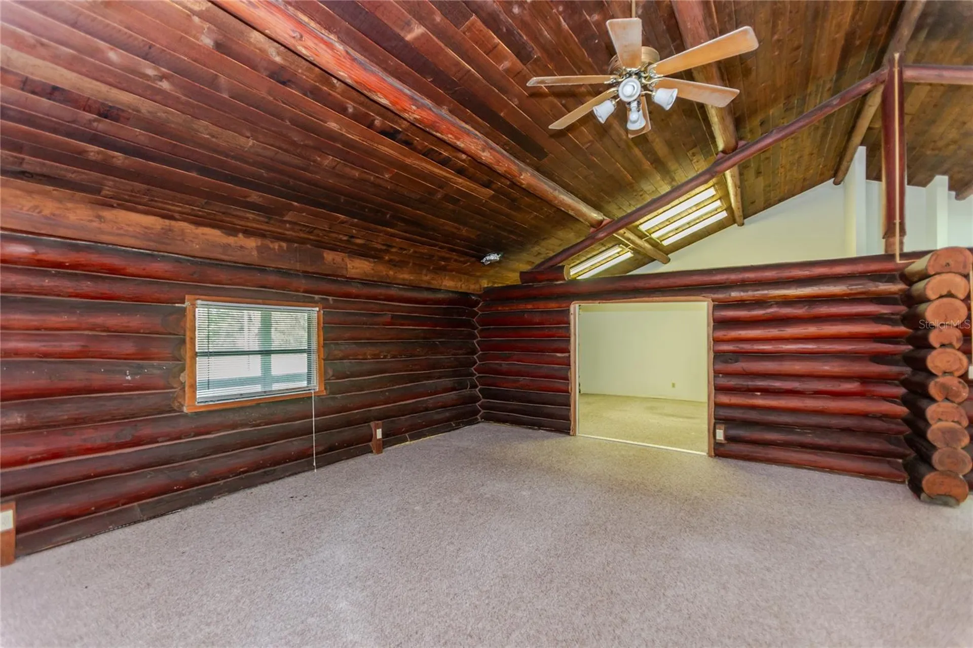 13203 Blissfield Odessa FL 33556