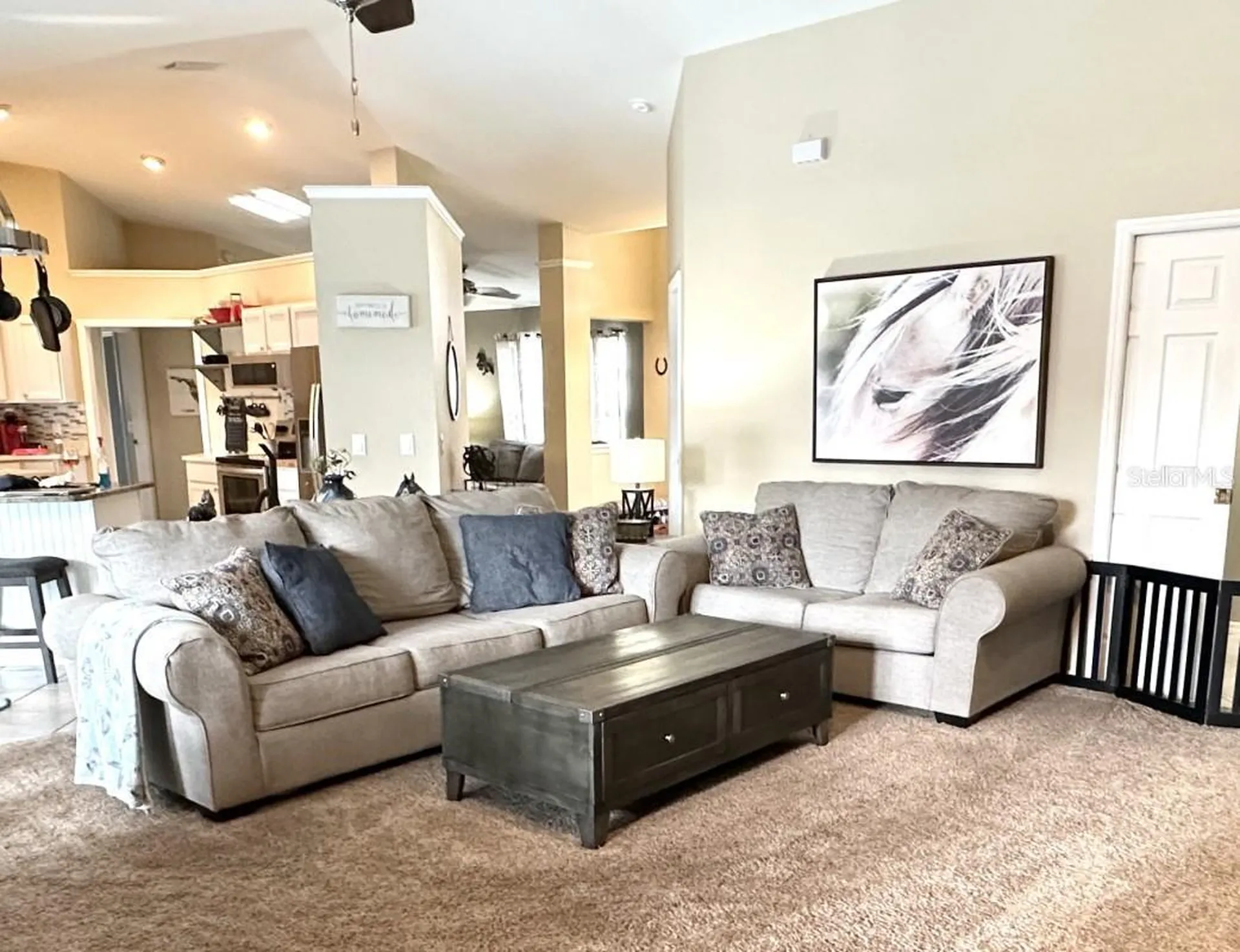 3260 SE 56th Avenue Ocala FL 34480