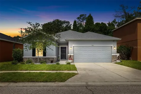 8515 Tidal Breeze Drive Riverview FL 33569