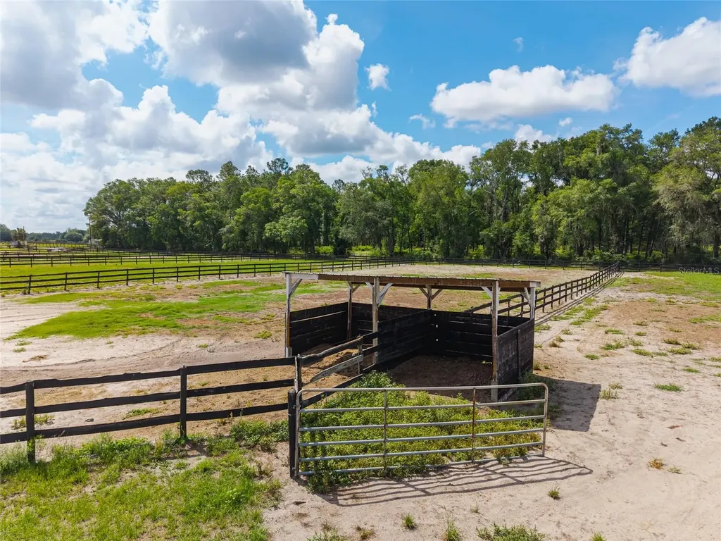 2009 SW 20th Street Bell FL 32619