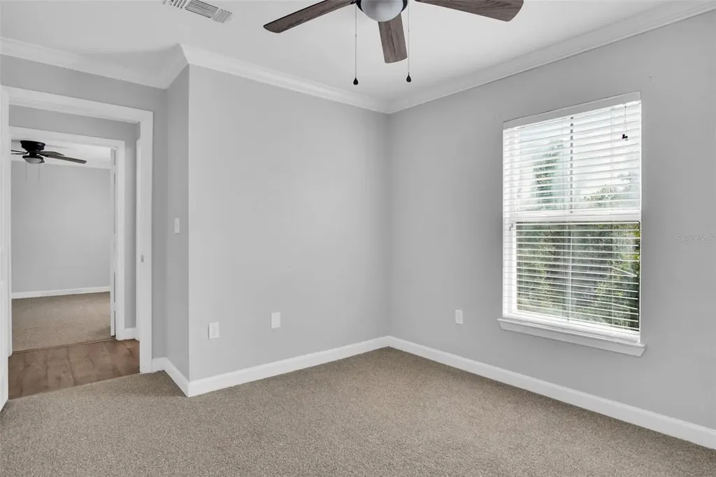 18245 Bridle Club Drive Tampa FL 33647