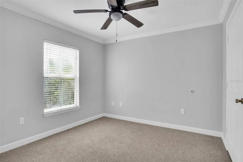 18245 Bridle Club Drive Tampa FL 33647