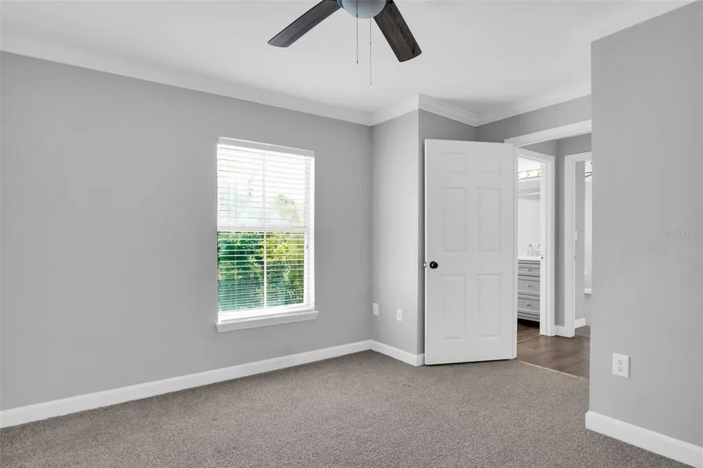18245 Bridle Club Drive Tampa FL 33647