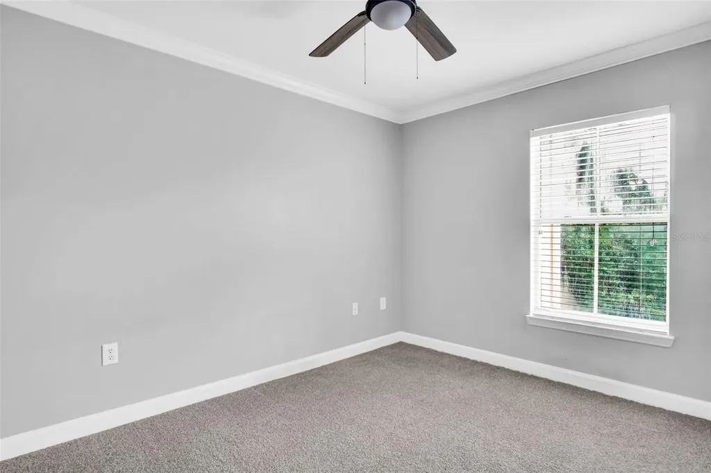 18245 Bridle Club Drive Tampa FL 33647