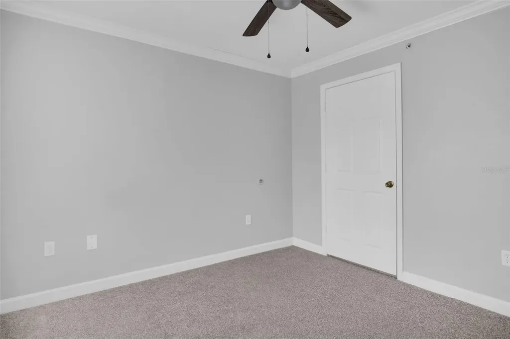 18245 Bridle Club Drive Tampa FL 33647