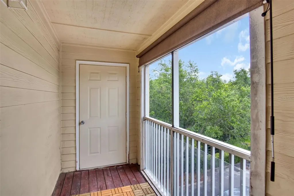 18245 Bridle Club Drive Tampa FL 33647