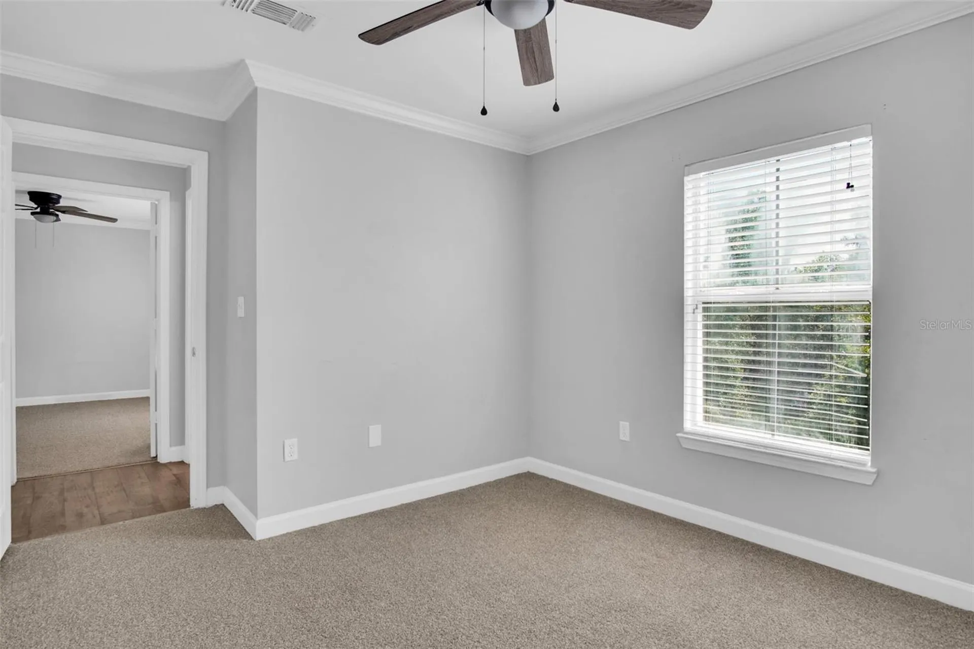 18245 Bridle Club Drive Tampa FL 33647
