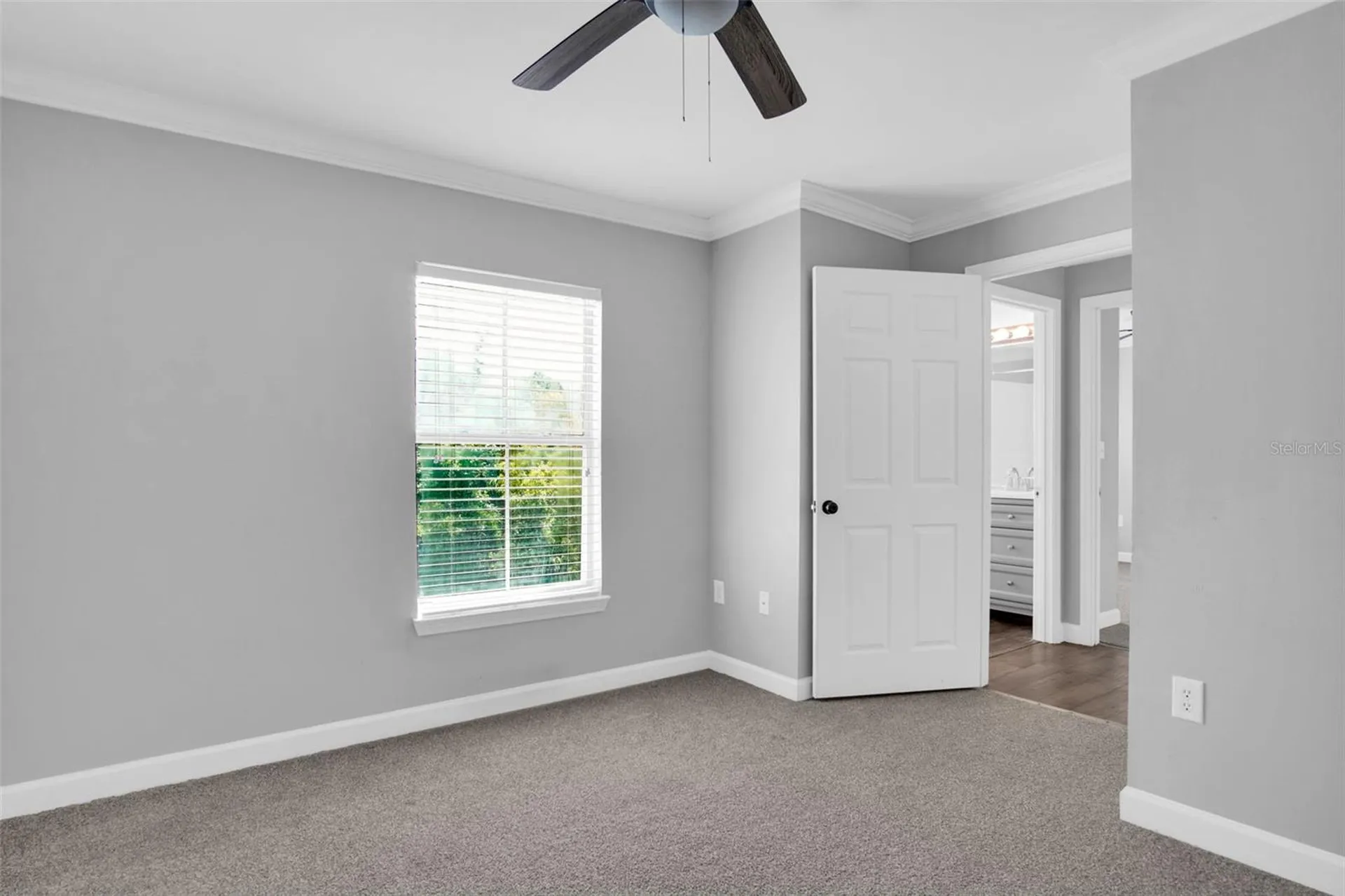 18245 Bridle Club Drive Tampa FL 33647