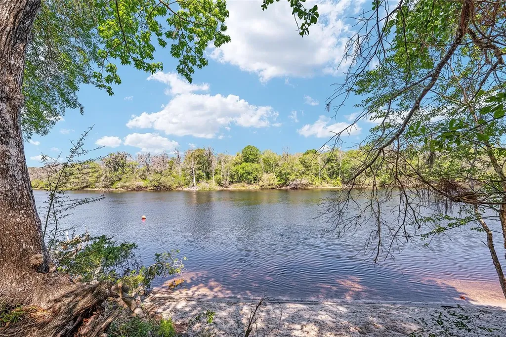 7870 SW 25th Place Bell FL 32619