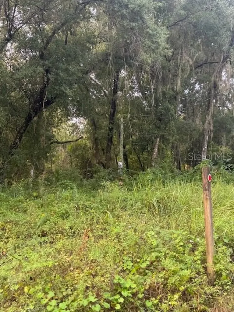 104 Floradandy Road Hawthorne FL 32640