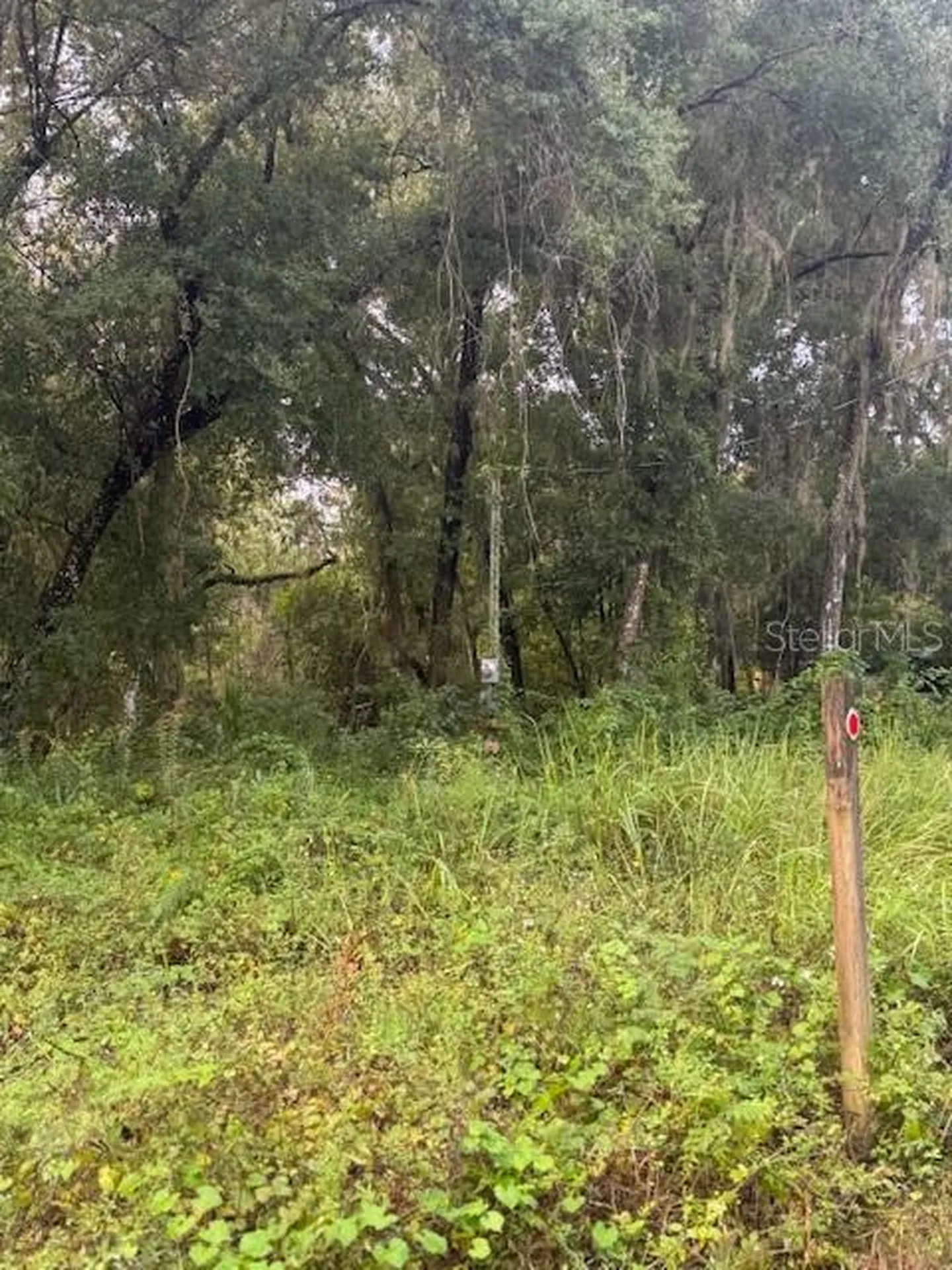 104 Floradandy Road Hawthorne FL 32640