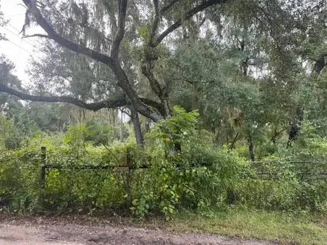 104 Floradandy Road Hawthorne FL 32640