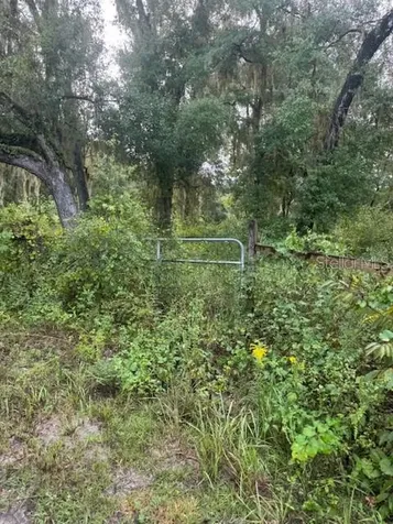 104 Floradandy Road Hawthorne FL 32640