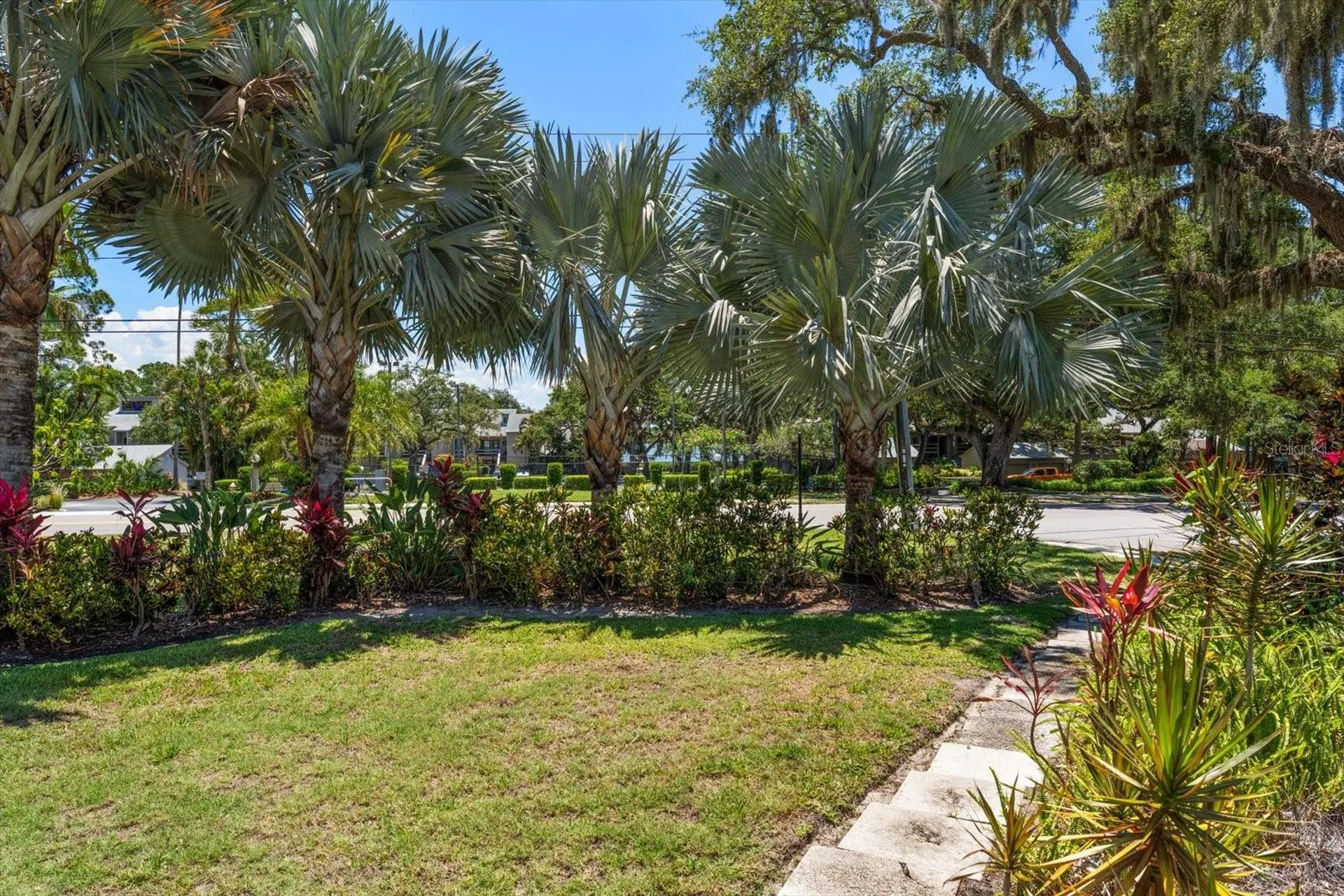 3330 San Domingo Street Clearwater FL 33759