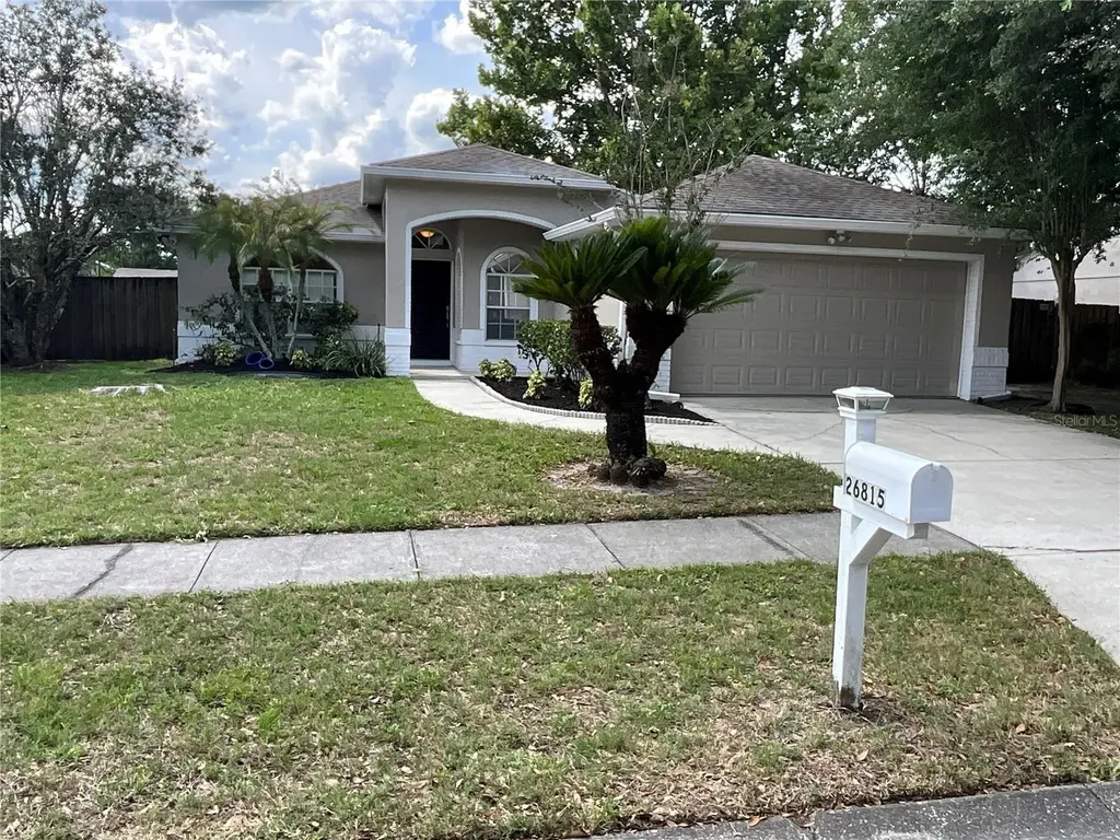 26815 Roseann Place Lutz FL 33559