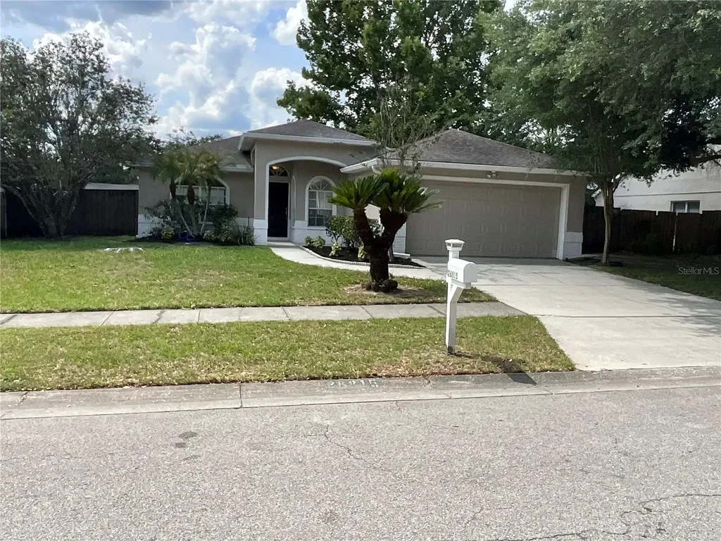 26815 Roseann Place Lutz FL 33559