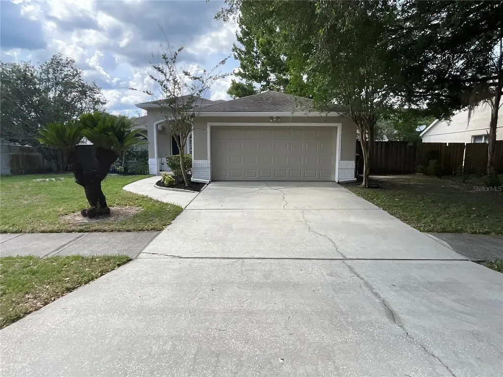26815 Roseann Place Lutz FL 33559