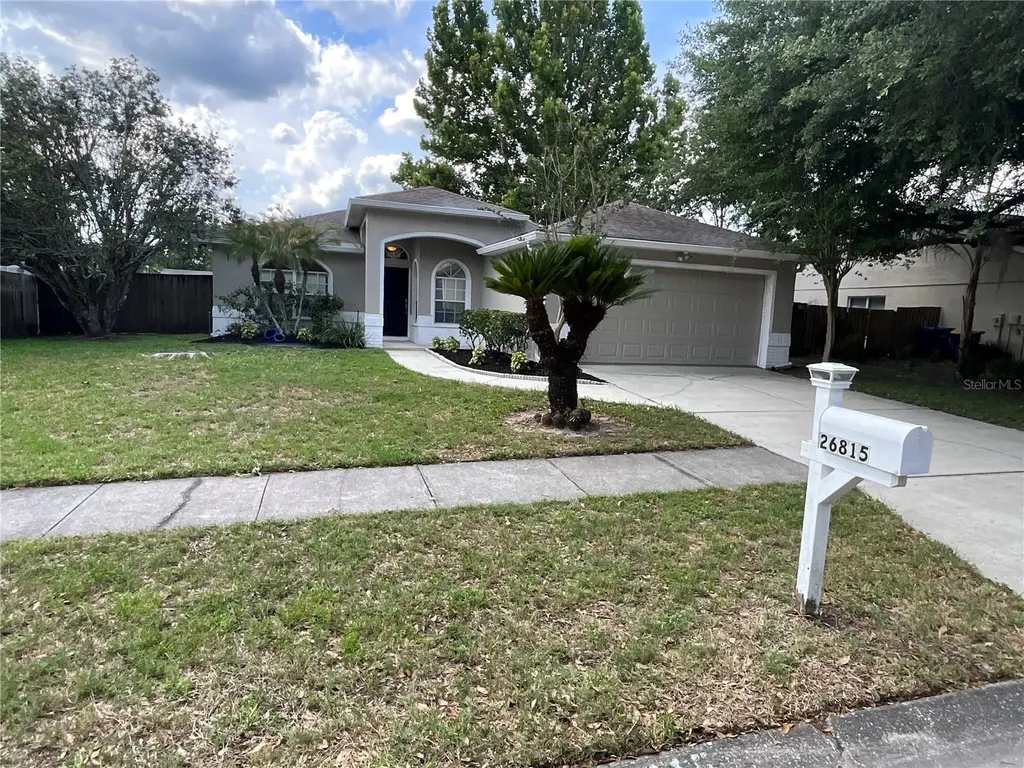 26815 Roseann Place Lutz FL 33559