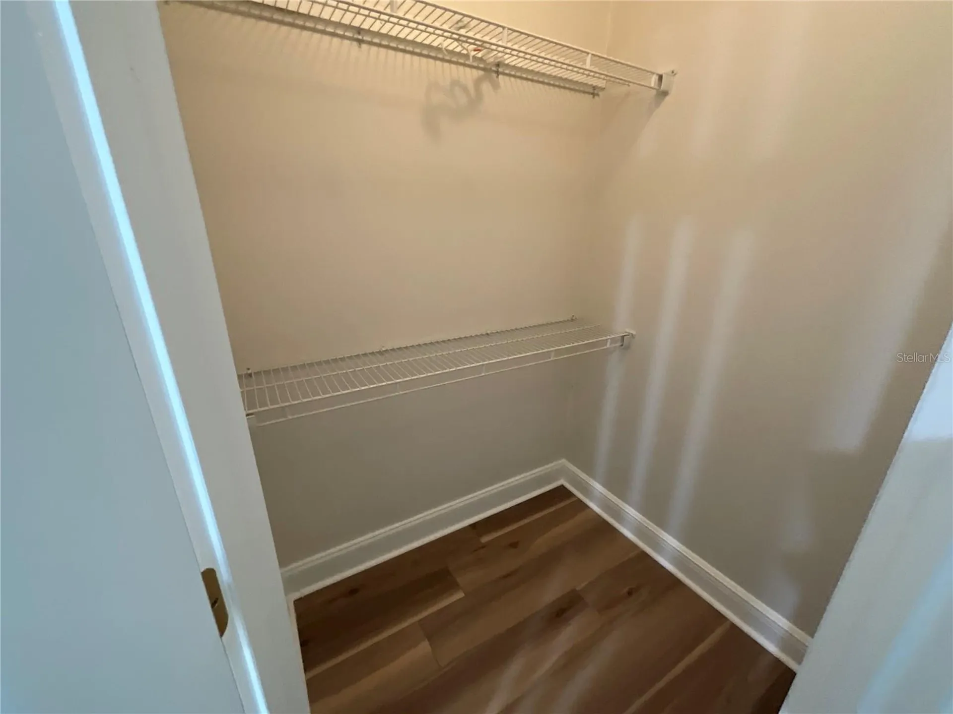 26815 Roseann Place Lutz FL 33559