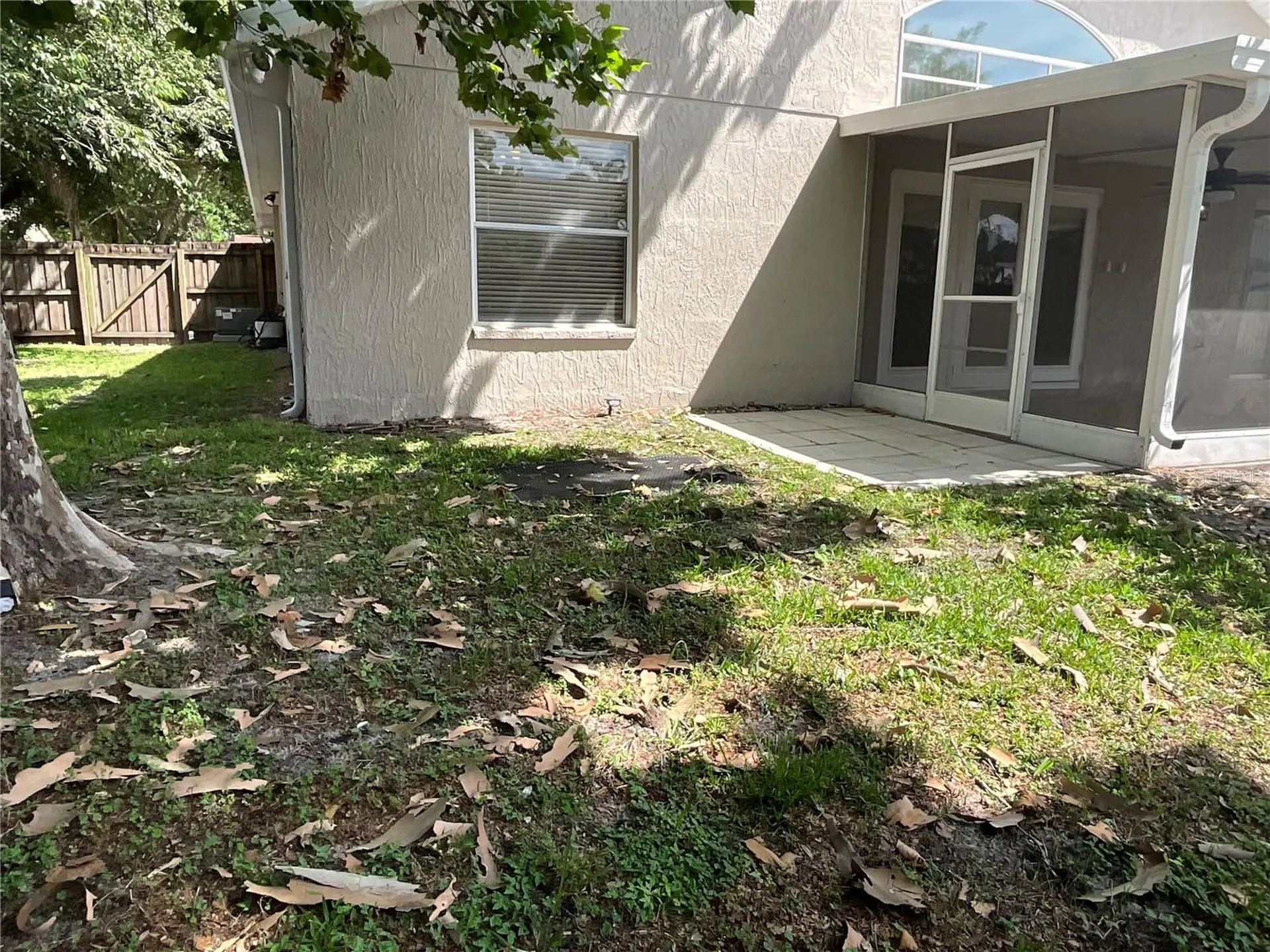26815 Roseann Place Lutz FL 33559