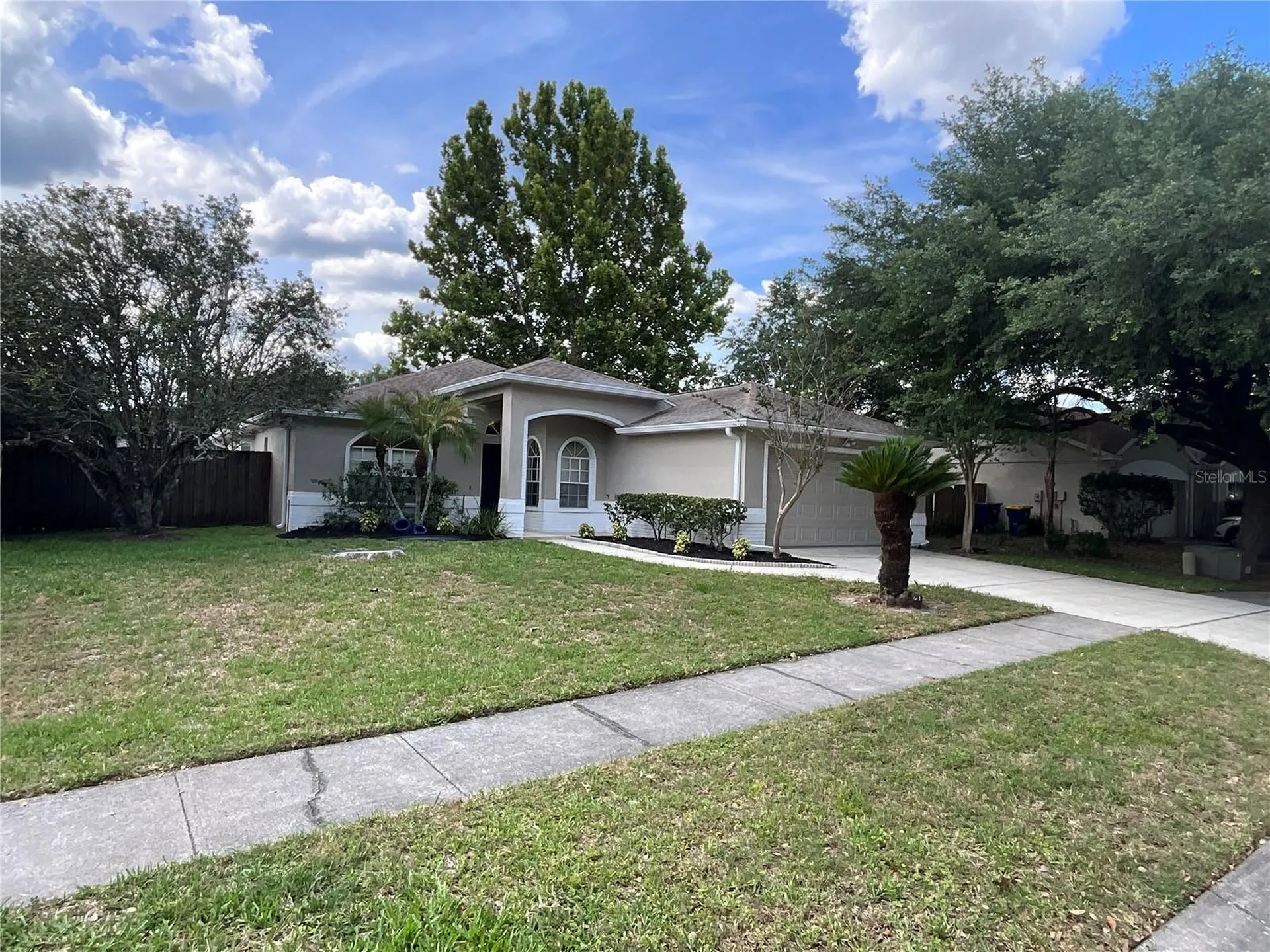 26815 Roseann Place Lutz FL 33559