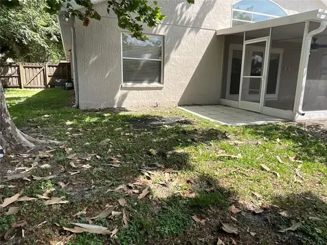 26815 Roseann Place Lutz FL 33559