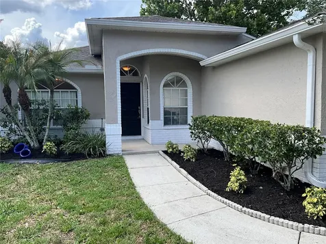 26815 Roseann Place Lutz FL 33559