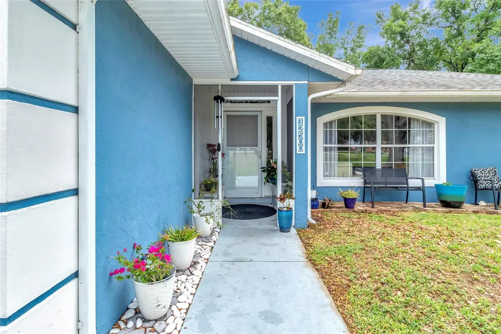 12500 Draw Drive Grand Island FL 32735