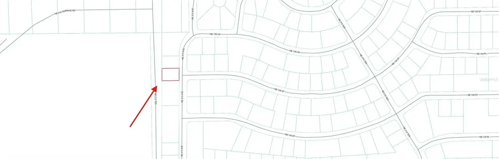 0 NE 213 Avenue Fort Mc Coy FL 32134