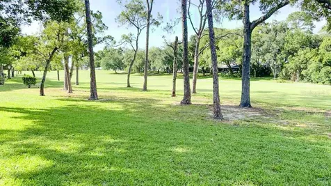 12922 Wedgewood Way Hudson FL 34667